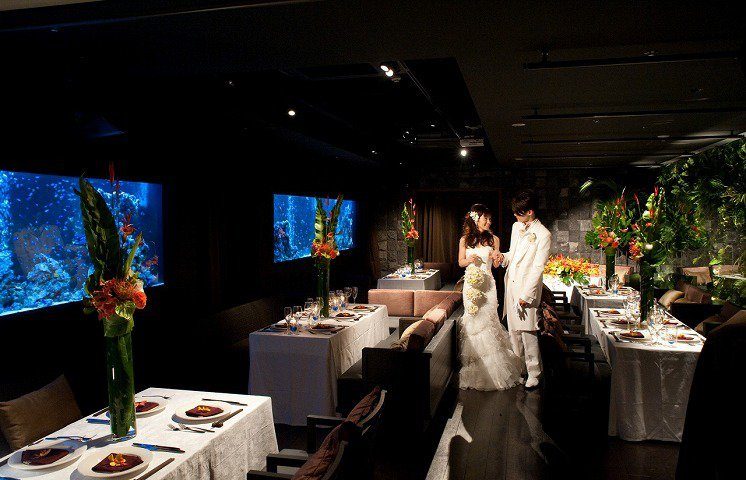 閉店 麻布十番ライムの結婚式二次会 貸切情報 お祝金 ディズニー付 パーティーレーベル