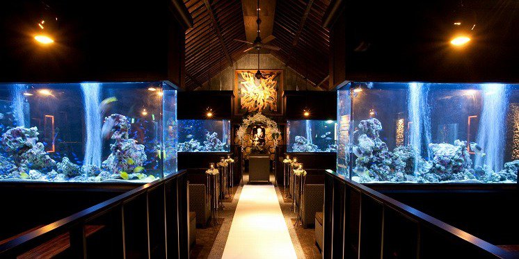 閉店 麻布十番ライムの結婚式二次会 貸切情報 お祝金 ディズニー付 パーティーレーベル