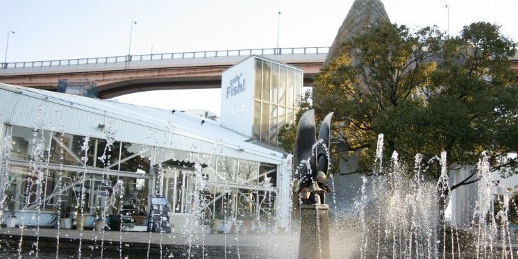 Cafe Fish